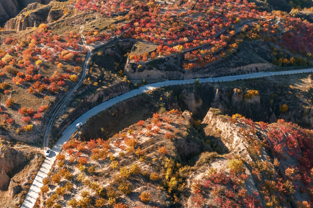 榆林：秋正好 城更美